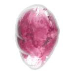 Satisfyer Cloud Dancer bleu – Image 4