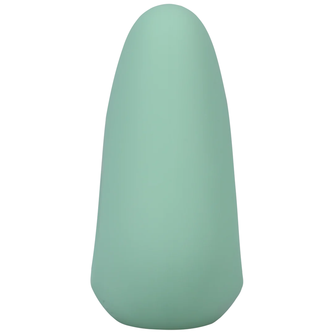 Stimulateur de clitoris rechargeable Chi – Image 2