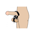 Sangle pénienne et étireur de testicules XR Brands – Image 3