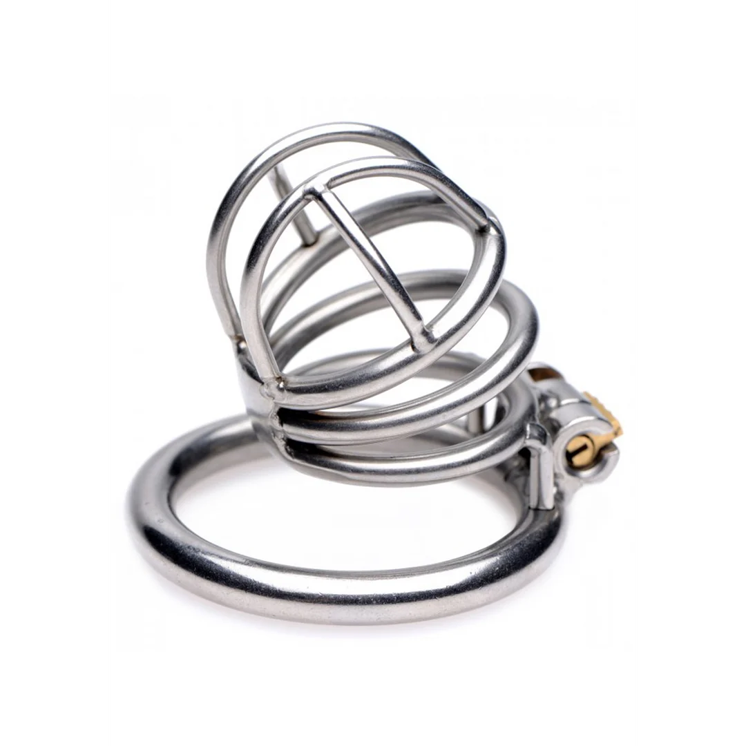 Cage de chasteté verrouillable The Pen Deluxe – Image 3