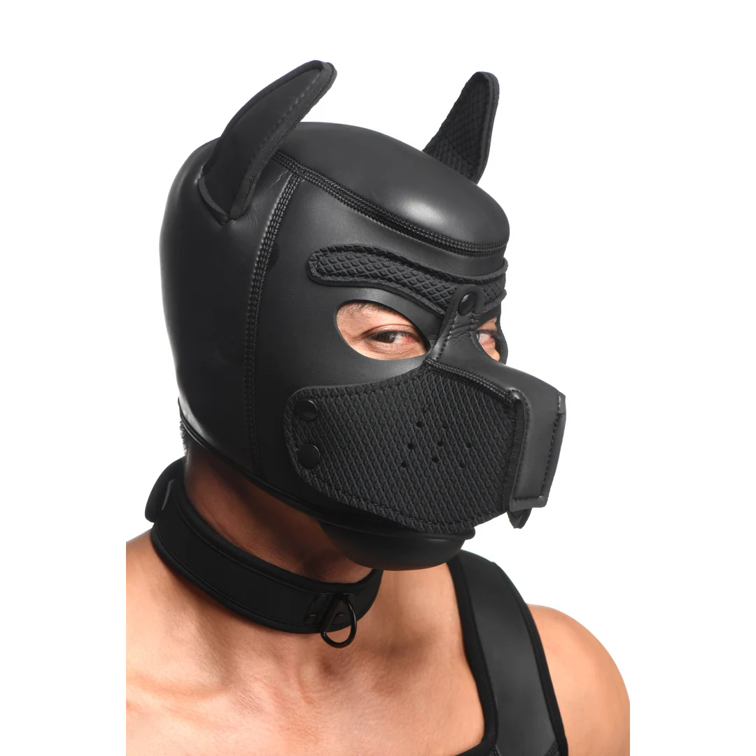 Ensemble complet Pup Arsenal XR Brands noir – Image 6