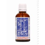 Pharmquests by Shots China Brush XL, sérum retardant 50 ml – Image 4