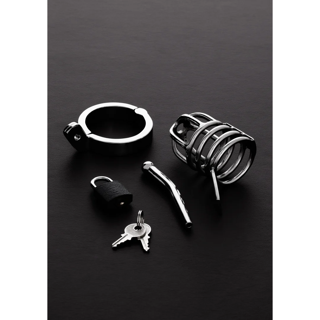 Cage de chasteté Attica en acier inoxydable – Image 2